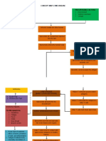 Lyme Disease Concept Map