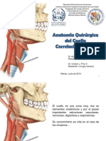 Cuello Anatomia Definitivo