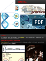 Genética