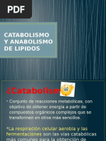 Catabolismo y Anabolismo de Lipidos 