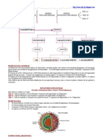 Mixovirus, Orthomixovirus, Paramixovirus y Virus Sincitial Respiratorio