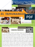 Presentaciontamunangueemilacosta