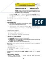 Anatomia Cpu Unprg Sistema Cardiovascular Hematología Cap-Vii PDF