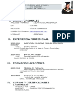 Curriculum Vitae MILIZA