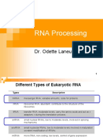 Rna Processing Eukaryotes