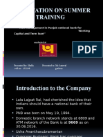 Risk Management in Punjab National Bank