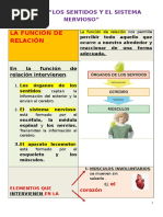 TEMA 1 Los Sentidos y El Sistema Nervioso