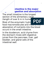 Bio LCV 04 Digestion.3 W17