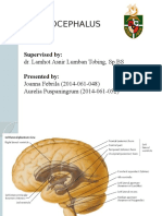 Hydrocephalus Teori Final