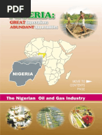 Summary About Nigeria Oil & Gas PDF