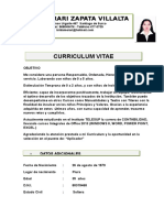 CURRICULUM 2013 Auxiliar