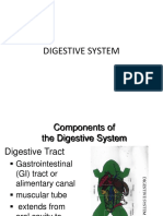 Digestive System of Frog