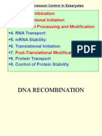 Eukaryote Regulation of Gene Expression