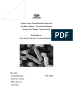 Bacillus Cereus Trabalho.