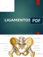 Ligamentos Pelvis