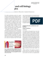 Molecular & Cell Biology of Gingiva