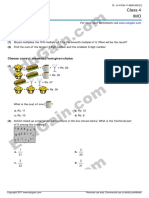 Class 4 IMO: Answer The Questions