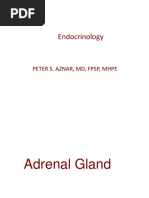 5th Jan 17 Patho 04 Adrenals DR - Aznar