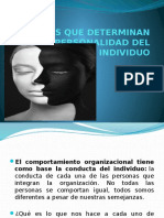 Factores Que Determinan La Personalidad (Present)