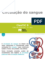 Circulação Do Sangue