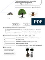 Ficha de Preparação Janeiro Est Meio