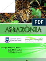 Amazoniapronto (SLIDES)