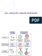 Cell Mediated Immune Responses