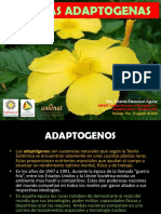 Conferencia Plantas Adaptogenas Syba 2015