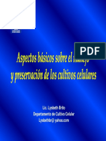 L Brito INHRR PDF