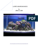 Small Reef Aquarium Basics