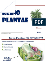 Reino Plantae