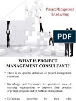 Project Management Consultant