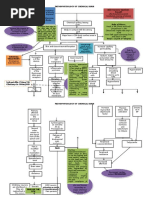 Pathophysiology of Chemical Burn