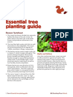 Activity Tree Planting Guide PDF