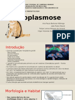 Seminário Toxoplasmose FINAL