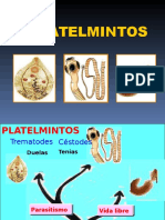 PARASITOLOGIA: Platelmintos 