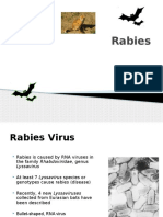 Rabies