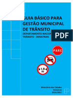 Gestao Municipal Do Transito