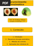 Escurecimento Enzimatico - UVV - 20160727-1726