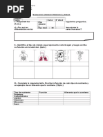 Evaluación U3 Nutrición y Salud 8° 2017 