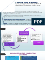 Salidas Alternas Proceso Penal Acusatorio PDF