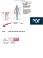 General Surgery Notes - Vascular Surgery