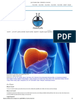 Liver Function Tests - عالم المختبرات و التحاليل الطبية