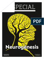 27 Especial Neurogenesis