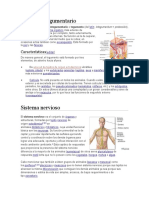 Los 11 Sistemas Del Cuerpo Humano