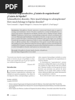 Esquizoafectivo PDF