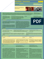 Toxocariasis PDF