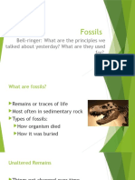 Fossils