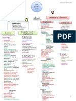 Detailed Micro Chart