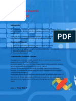 Manual de Usuario Visual Basic